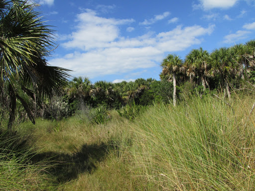 Non-Profit Organization «Sanibel-Captiva Conservation Foundation», reviews and photos, 3333 Sanibel Captiva Rd, Sanibel, FL 33957, USA