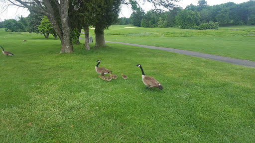 Golf Course «Twin Lakes Golf Course», reviews and photos, 6201 Union Mill Rd, Clifton, VA 20124, USA