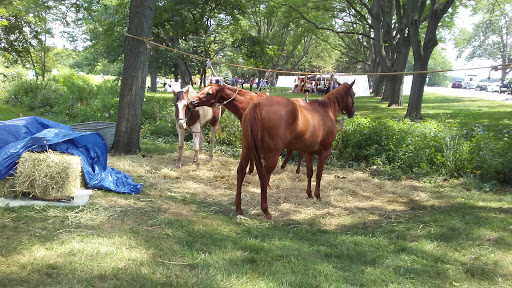 Park «Carpenter Park», reviews and photos, Carpenter Blvd, Carpentersville, IL 60110, USA