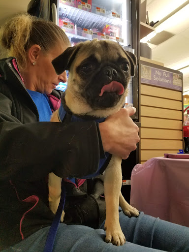 Pet Supply Store «Pet Supplies Plus», reviews and photos, 3100 Manchester Rd, Akron, OH 44319, USA