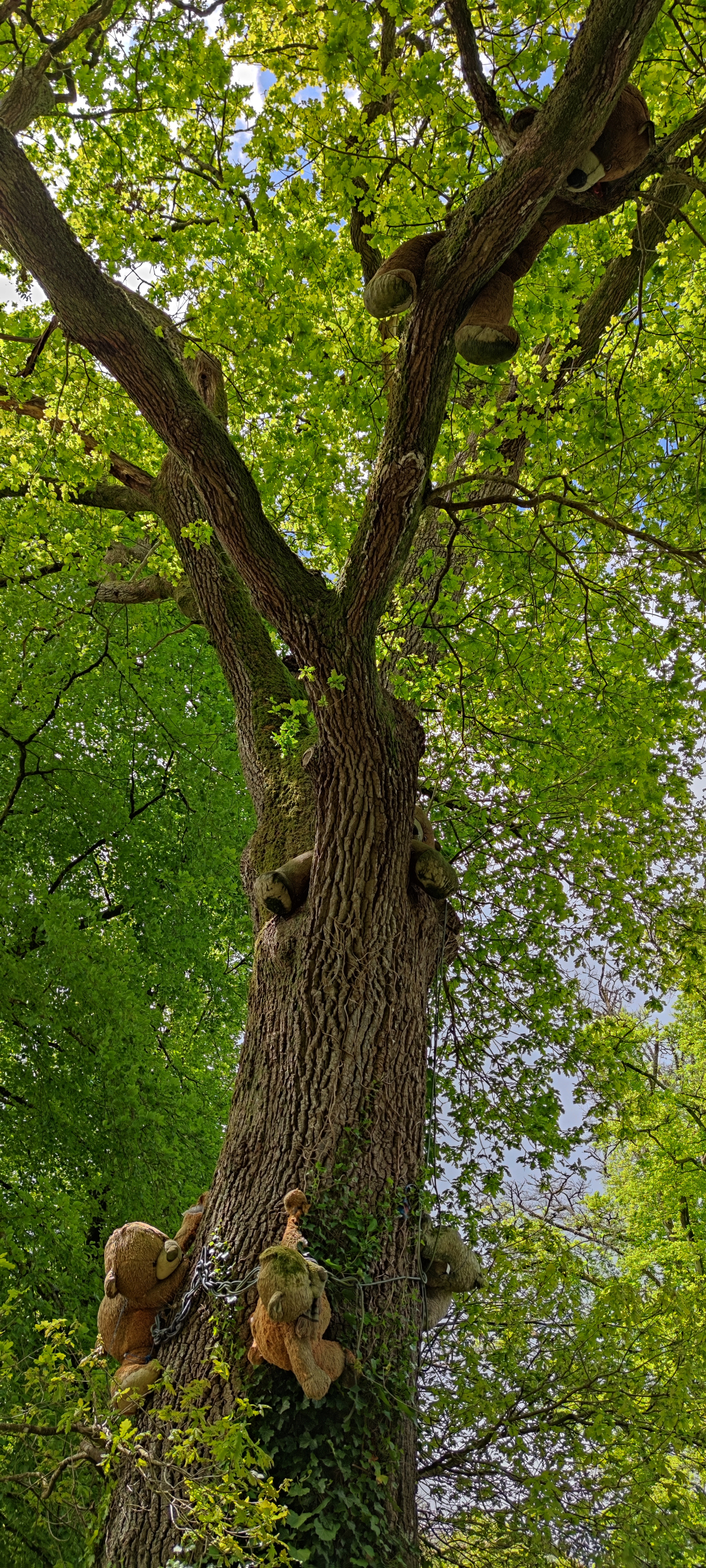 Photo n° 14 de l'avis de QUALIDRONE. fait le 13/05/2021 à 19:54