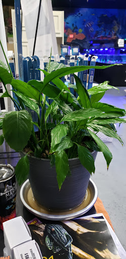 Tropical Fish Store «Marine Solutions», reviews and photos, 20 Triad S Dr, St Charles, MO 63304, USA