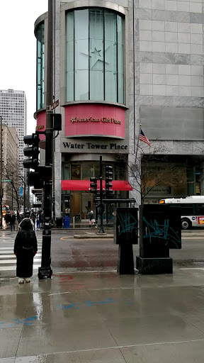Shopping Mall «Water Tower Place», reviews and photos, 835 N Michigan Ave, Chicago, IL 60611, USA