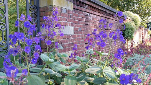 Tourist Attraction «Old Westbury Gardens», reviews and photos, 71 Old Westbury Rd, Westbury, NY 11590, USA