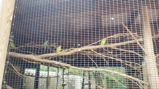 Zoo «Blank Park Zoo», reviews and photos, 7401 SW 9th St, Des Moines, IA 50315, USA