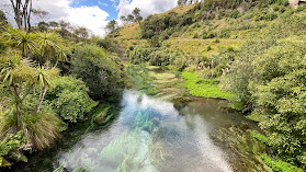 Te Waihou Walkway