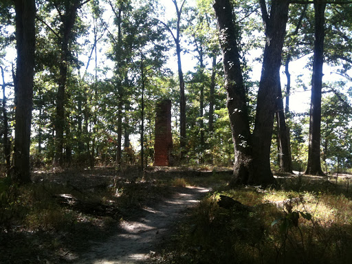 Park «Purse State Park», reviews and photos, 2750 Sweden Point Road, Marbury, MD 20658, USA
