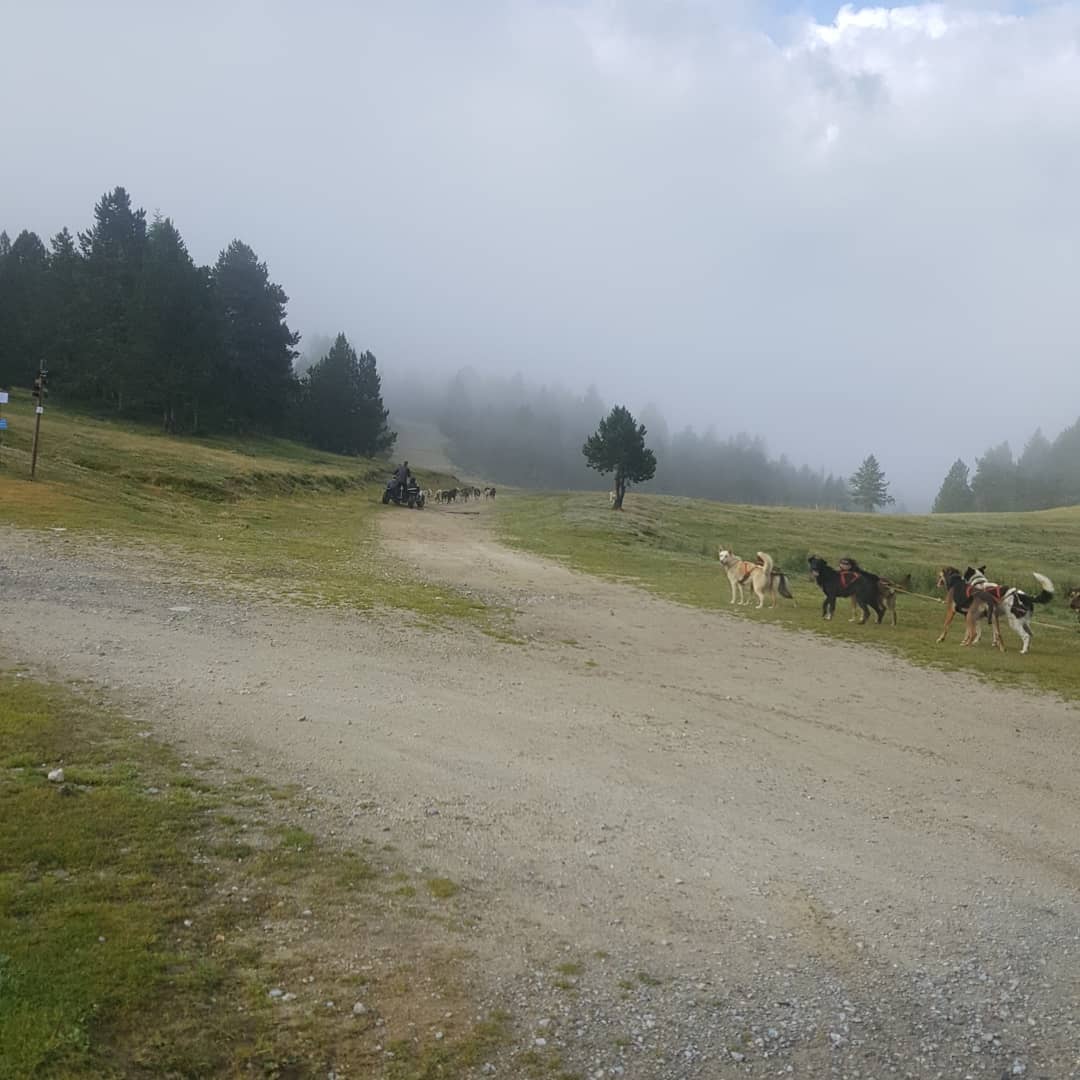 Photo n° 2 de l'avis de Lucille.O fait le 10/08/2018 à 08:20