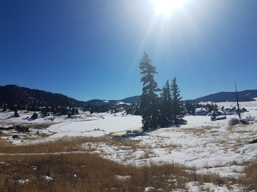 General Store «Eleven Mile General Store», reviews and photos, 5790 Co Rd 92, Lake George, CO 80827, USA