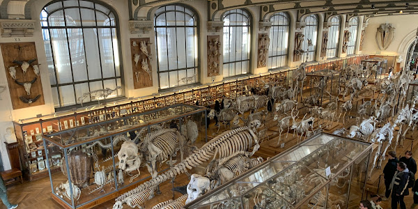 Muséum national d'Histoire naturelle