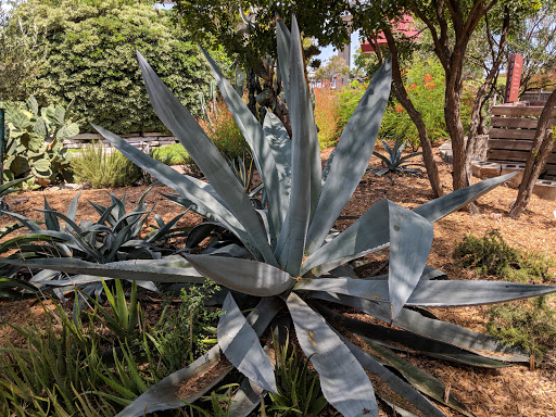 Art Museum «The Art Museum of South Texas», reviews and photos, 1902 N Shoreline Blvd, Corpus Christi, TX 78401, USA