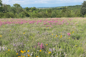 Tandy Hills Natural Area / Stratford Nature Area