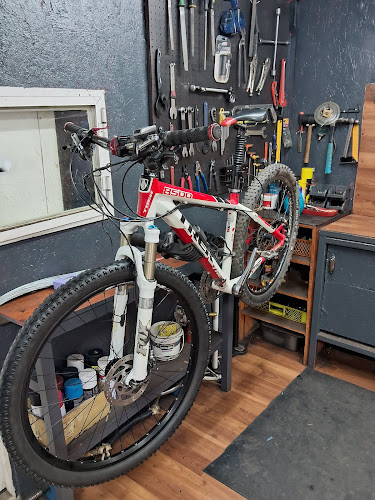 Bicicletas Jaleu - Tienda de bicicletas