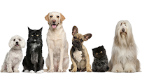 Animal Care of Oradell