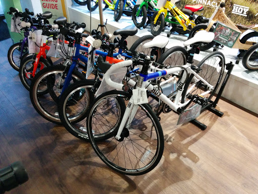 Evans Cycles