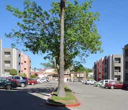 Universidad Autónoma de Baja California - UABC Campus Valle Dorado photo