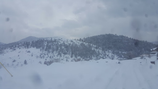 Tourist Attraction «Helena Tourism Alliance», reviews and photos, 105 Reeders Alley, Helena, MT 59601, USA