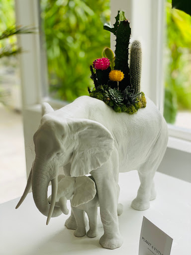 Interior Plant Service «Plant The Future, Inc.», reviews and photos, 2511 NW 2nd Ave, Miami, FL 33127, USA