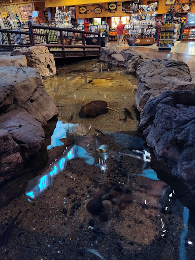 Sporting Goods Store «Bass Pro Shops», reviews and photos, 1133 N Dobson Rd, Mesa, AZ 85201, USA