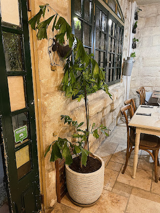 photo n° 38 du restaurants LA GOULUE à Aigues-Mortes