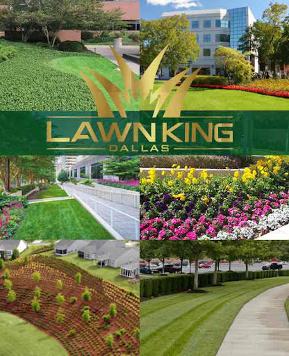 Dallas Lawn King, LLC