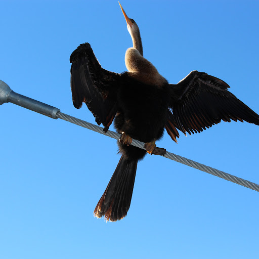 Park «Cranes Roost Park», reviews and photos, 274 Cranes Roost Blvd, Altamonte Springs, FL 32701, USA