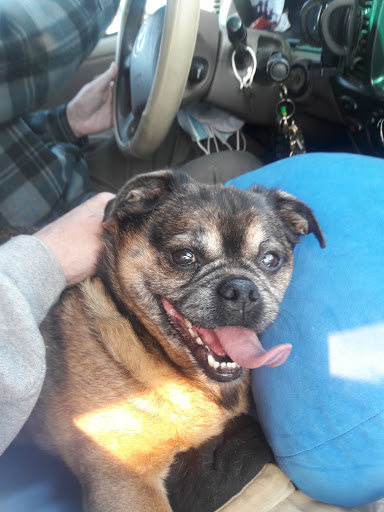 Pet Supply Store «Feed Corral Inc», reviews and photos, 634 Oregon Coast Hwy, Newport, OR 97365, USA