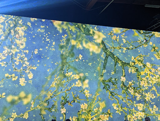 Van Gogh Sacramento Exhibit The Immersive Experience image