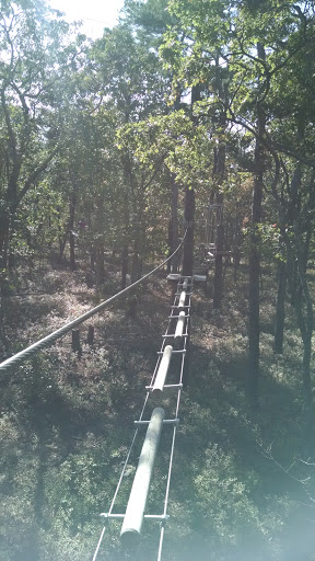 Tourist Attraction «Tree To Tree Cape May», reviews and photos, 707 U.S. 9, Cape May Court House, NJ 08210, USA