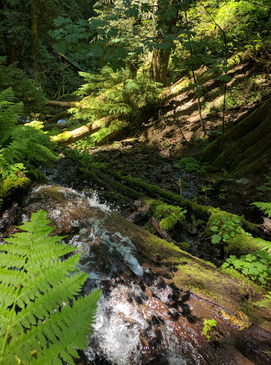 Tourist Attraction «Fairy Falls», reviews and photos, Wahkeena Trail #420, Corbett, OR 97019, USA