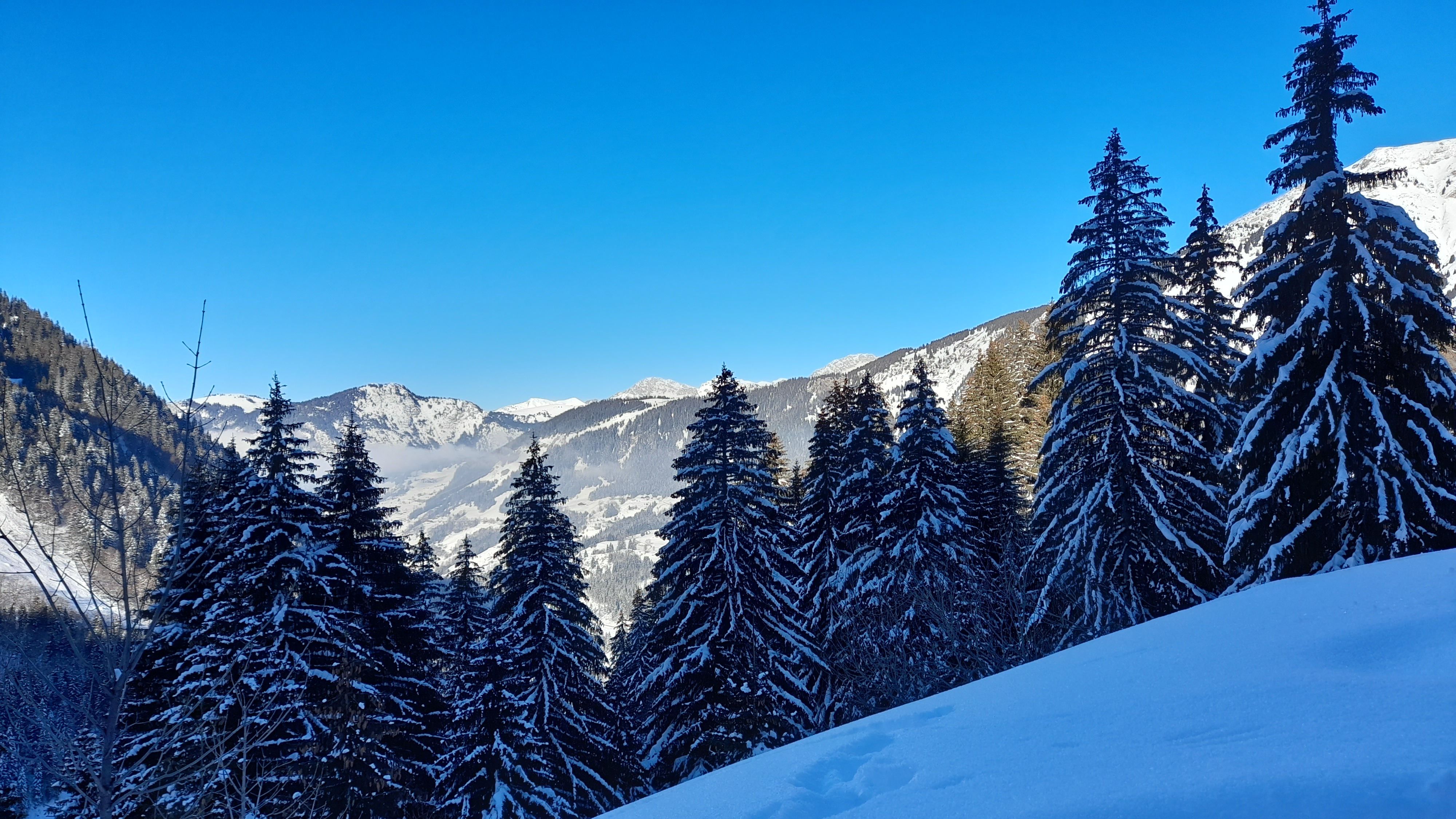 Photo n° 2 de l'avis de Joe.a fait le 12/01/2021 à 15:40