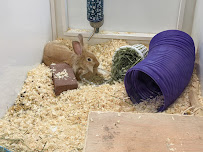 Benson's Pet Center - Photo 6 - Car repair in Albany, NY, Albany