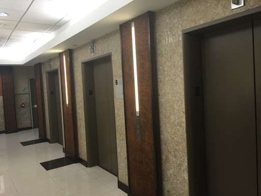 Attorney «Stephen Bilkis & Associates», reviews and photos