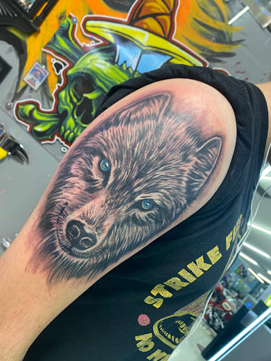 Find cardinal tattoo ideas for ladies for your next unique tattoo in Noblesville at Mystic Images Tattoo Co.