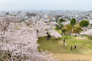 Kyusho Park image
