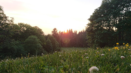Water Park «Rotary Centennial Water Playground», reviews and photos, 802 E Mukilteo Blvd, Everett, WA 98203, USA