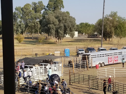 Fairground «Colusa County Fairgrounds», reviews and photos, 1303 10th St, Colusa, CA 95932, USA