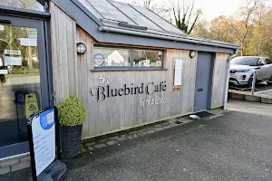 The Bluebird Cafe image