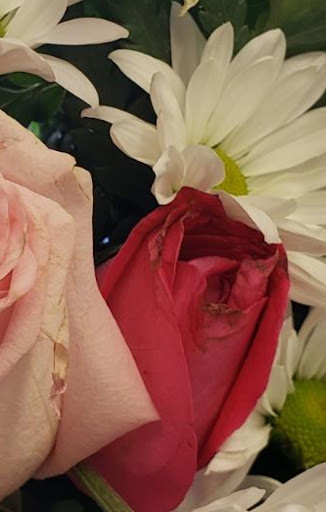 Florist «Flower Boutique», reviews and photos, 514 N Lake Ave, Pasadena, CA 91101, USA