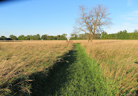 Michigan Folk School - Photo 2 - Car repair in Ann Arbor, MI, Ann Arbor