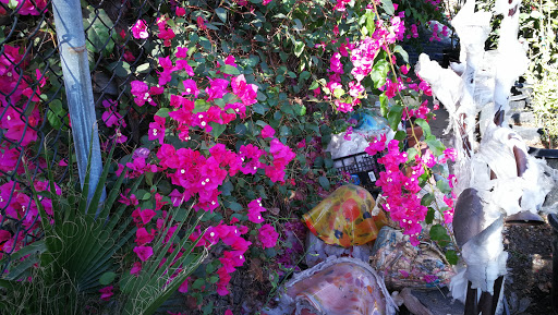 Grocery Store «Diamond Fresh Farmers Market», reviews and photos, 21168 Golden Springs Dr, Walnut, CA 91789, USA