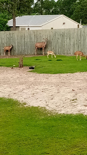 Zoo «Gulf Breeze Zoo», reviews and photos, 5701 Gulf Breeze Pkwy, Gulf Breeze, FL 32563, USA