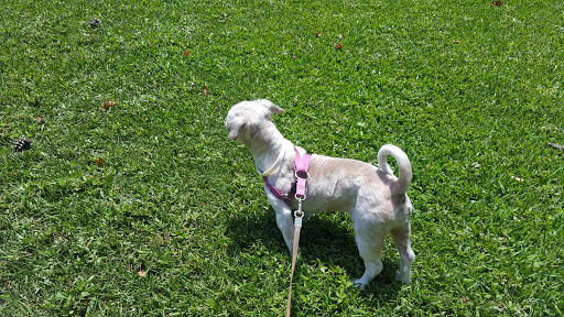 Pet Supply Store «Petco Animal Supplies», reviews and photos, 1410 N Loop 336 W, Conroe, TX 77304, USA