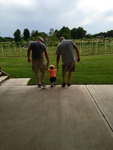 Winery «At The Barn Winery», reviews and photos, 4152 N Dearborn Rd, Lawrenceburg, IN 47025, USA