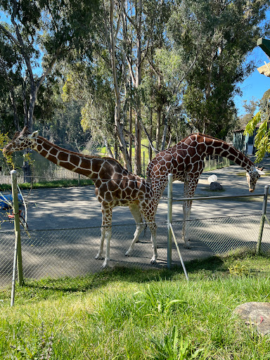 Amusement Park «Six Flags Discovery Kingdom», reviews and photos, 1001 Fairgrounds Dr, Vallejo, CA 94589, USA