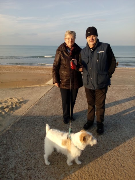 La Jolie coque à Cabourg (Calvados 14)