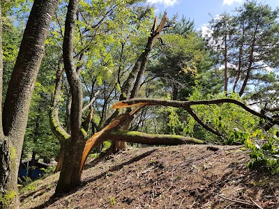 大芝公園 テニスコート場