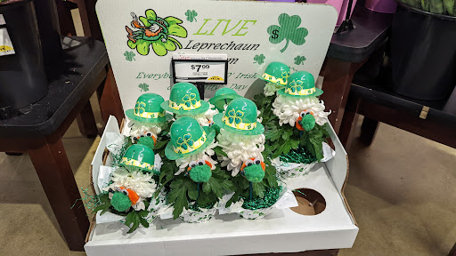 Supermarket «Big Y», reviews and photos, 348 East Central Street, Franklin, MA 02038, USA