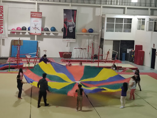 parkour Gym