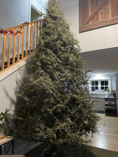 Ottman Family Christmas Trees